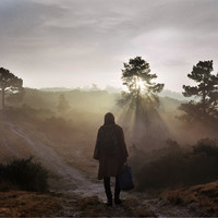 pochette album Bathed in light