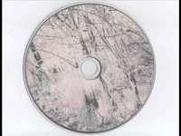 pochette album Swans