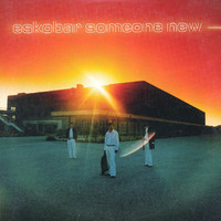 pochette album Someone new