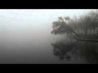 pochette album The noise of depression