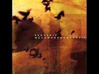 pochette album The secret of the secret