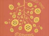 pochette album Black is the color