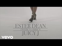 pochette album Twerkin 4 birkin