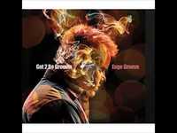 pochette album Wildflower