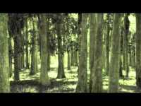 pochette album Who knows where the time goes?