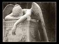 pochette album Fall into you