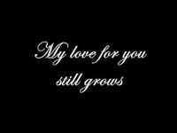 pochette album Understanding