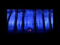 pochette album Lonely ones