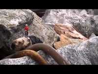 pochette album Draining the bar