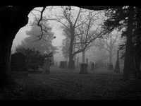 pochette album Quietus