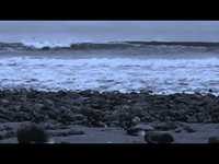 pochette album Celephaïs (barocco veneziano)