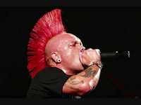 pochette album Barmy army