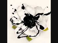 pochette album Harsh