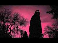 pochette album Emergency