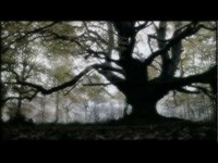 pochette album The unquiet grave