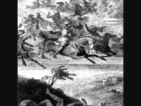 pochette album ...the ardent awaited land...