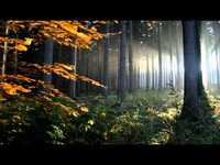 pochette album The celestial keeper