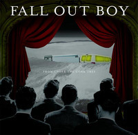 pochette album I slept with someone in fall out boy and all i got was this stupid song written about me