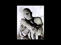 pochette album I'm a mummy