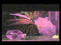 pochette album Spectre vs. rector