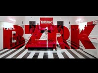 pochette album Bzrk