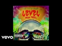 pochette album Level