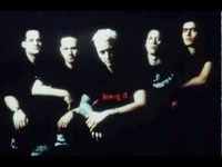 pochette album Till the cows come home