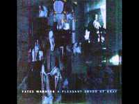 pochette album A pleasant shade of grey