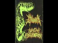 pochette album Rubbish planet