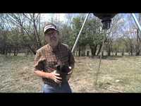 pochette album Hunter