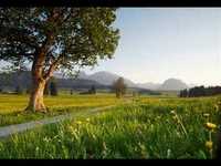 pochette album Helicopter