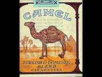 pochette album Eli the camel