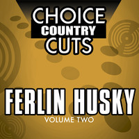 pochette album Truck drivin' son of a gun