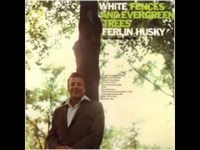 pochette album White fences and evergreen trees