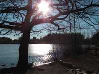 pochette album Take heart