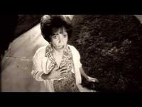 pochette album Silberfische in meinem bett