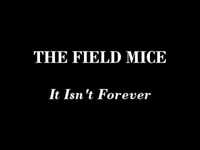 pochette album It isn't forever