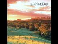 pochette album The last letter