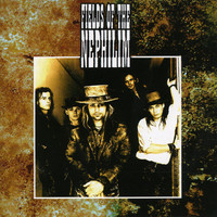 pochette album Love under will