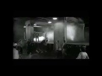 pochette album Fish gang