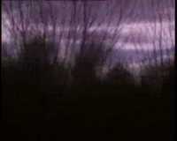 pochette album Follow follow