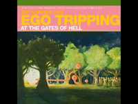 pochette album Assassination of the sun