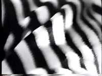 pochette album Can't stop the spring