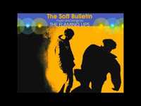 pochette album The observer