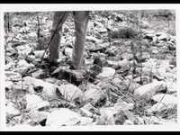 pochette album There you are