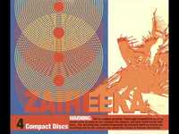 pochette album Thirty-five thousand feet of despair