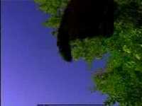 pochette album Sonia bianchi