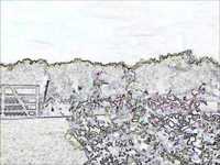 pochette album South wind of summer