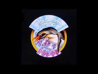 pochette album Bright fire