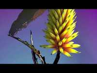 pochette album Say it